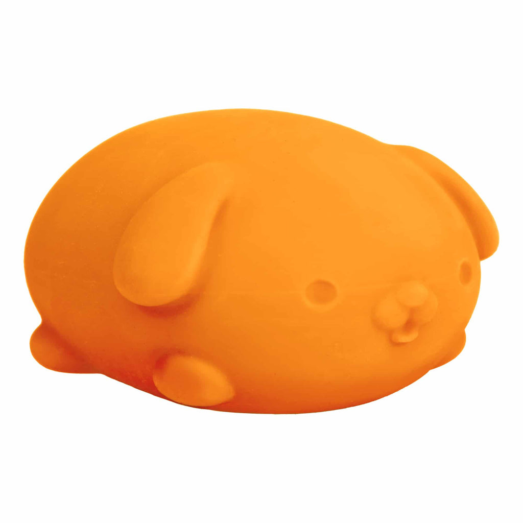 NeeDoh Funky Pup R7 - Orange