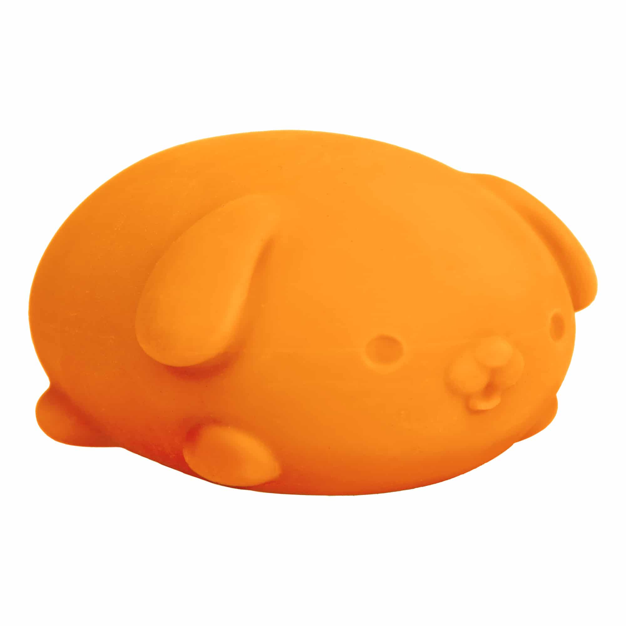 NeeDoh Funky Pup R7 - Orange