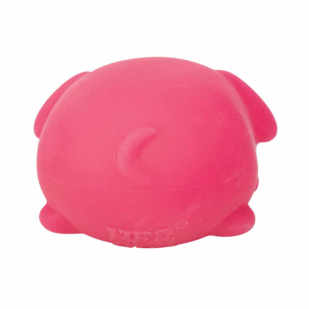 NeeDoh Funky Pup R7 - Pink Back