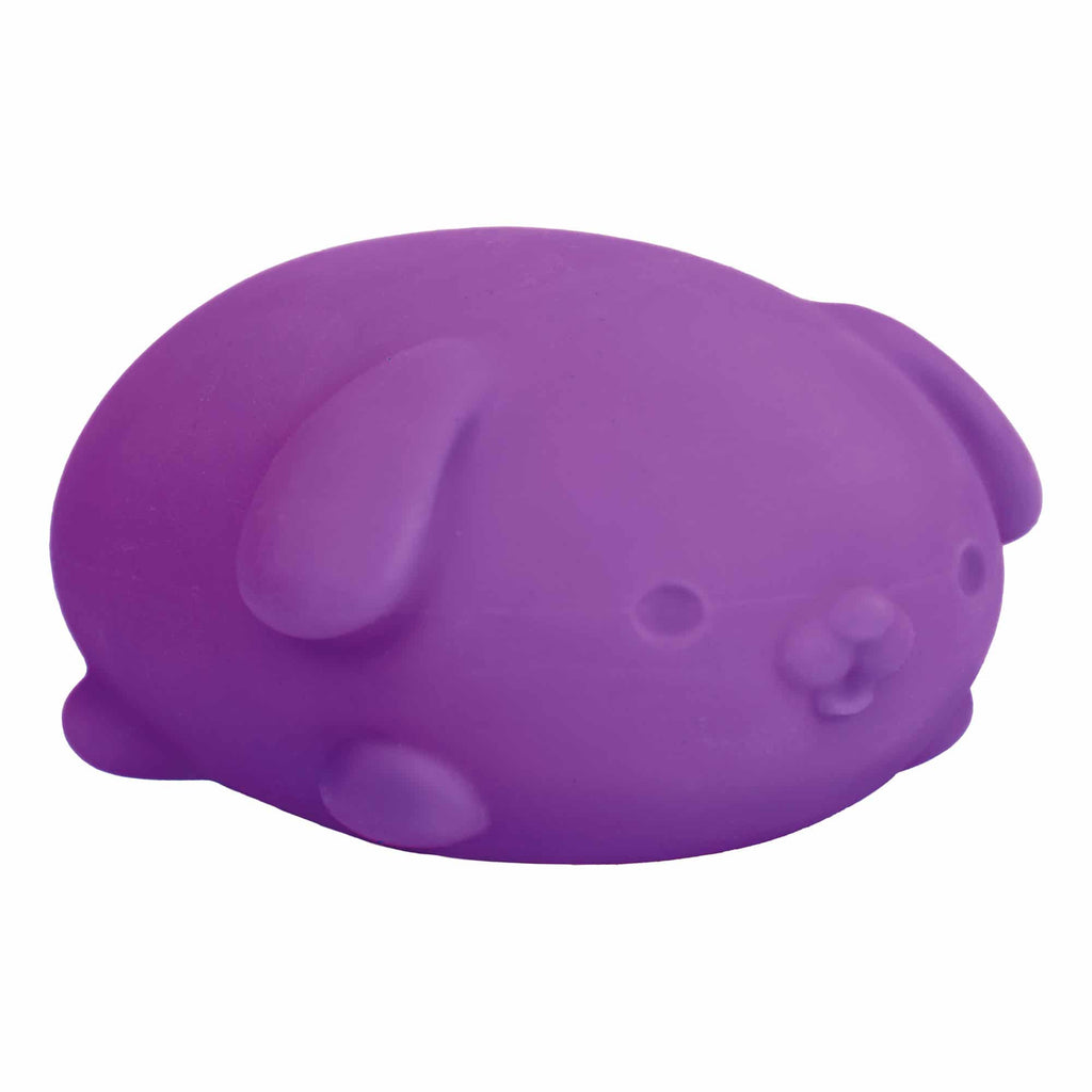 NeeDoh Funky Pup R7 - Purple
