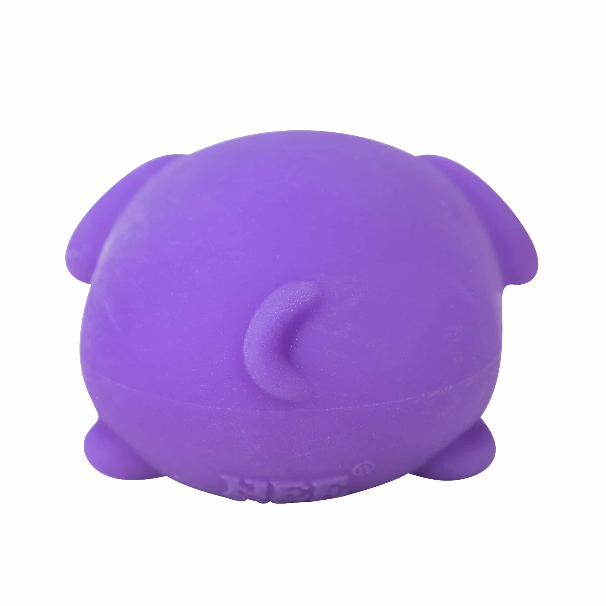 NeeDoh Funky Pup R7 - Purple Back