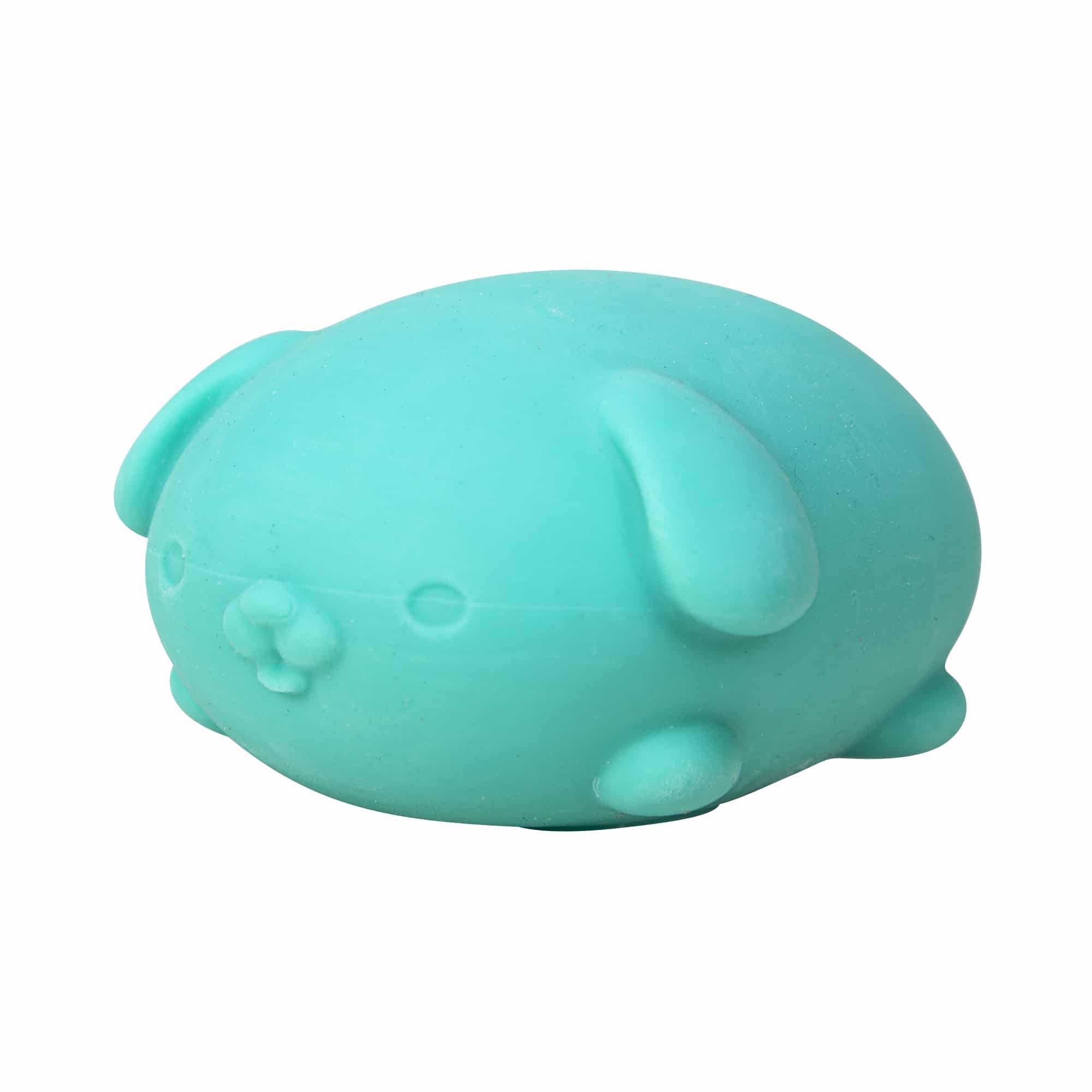 NeeDoh Funky Pup R7 - Teal 3Q Left