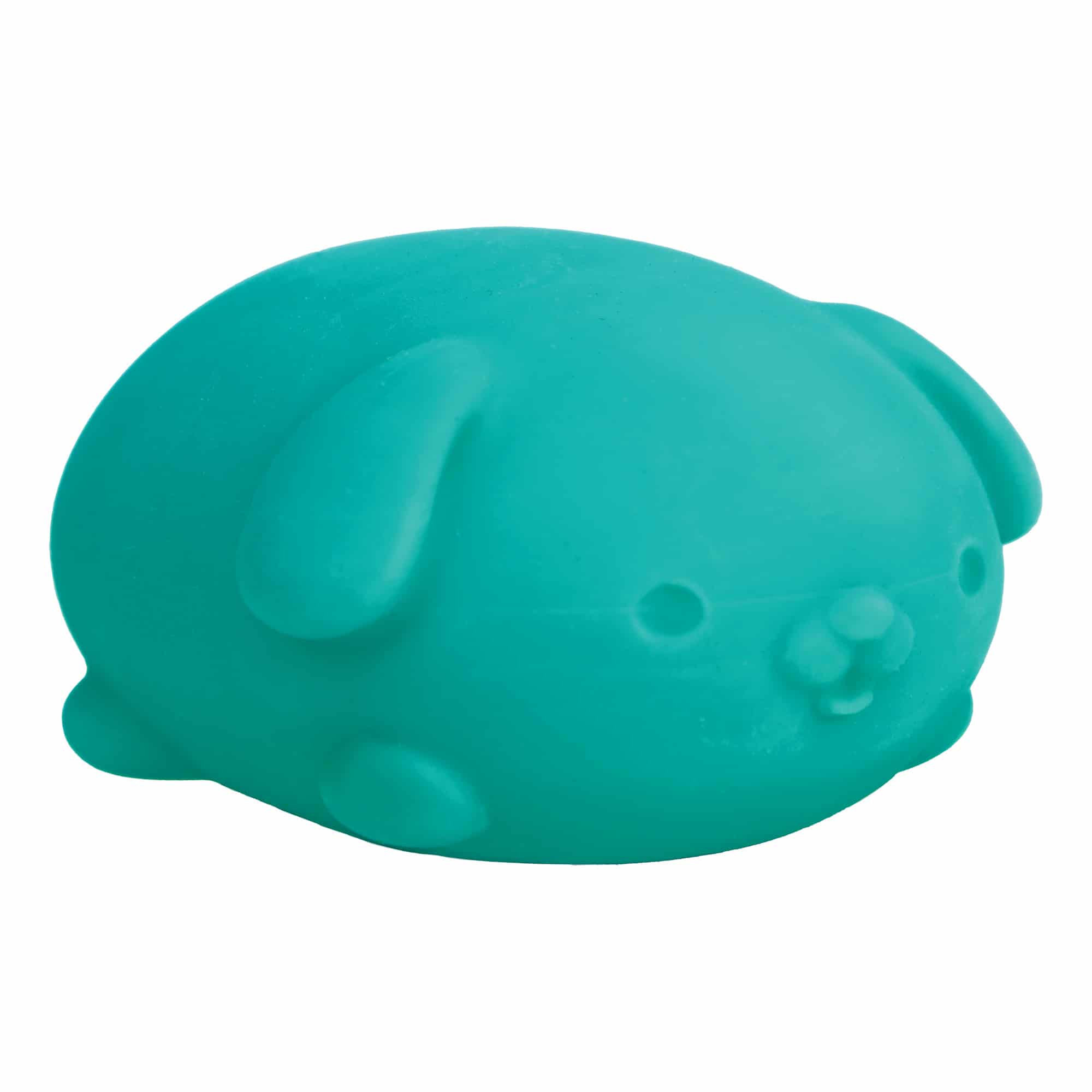 NeeDoh Funky Pup R7 - Teal