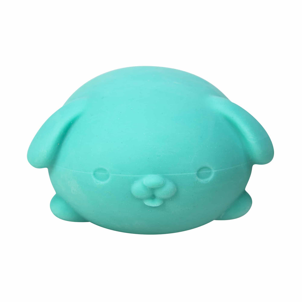 NeeDoh Funky Pup R7 - Teal Front