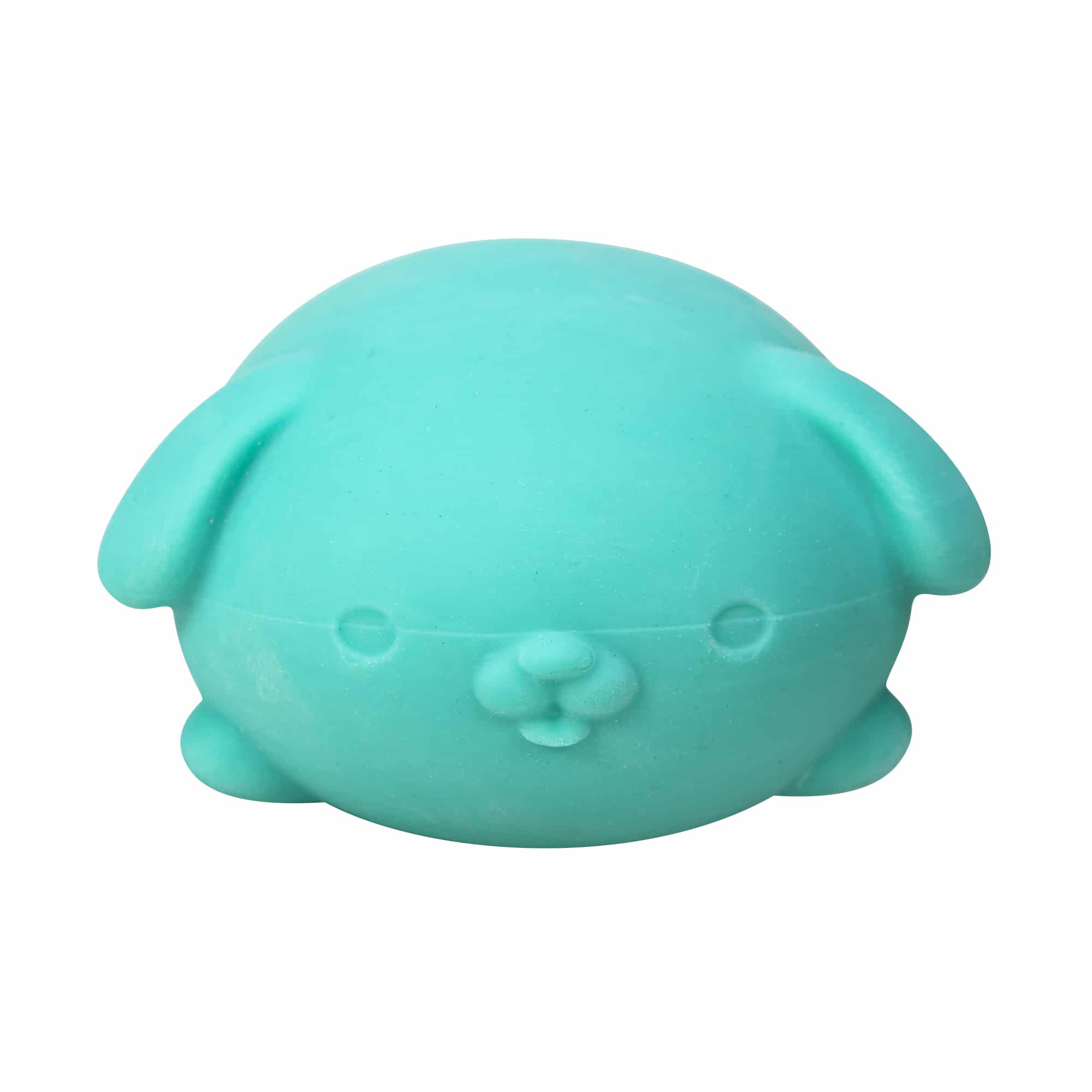 NeeDoh Funky Pup R7 - Teal Front