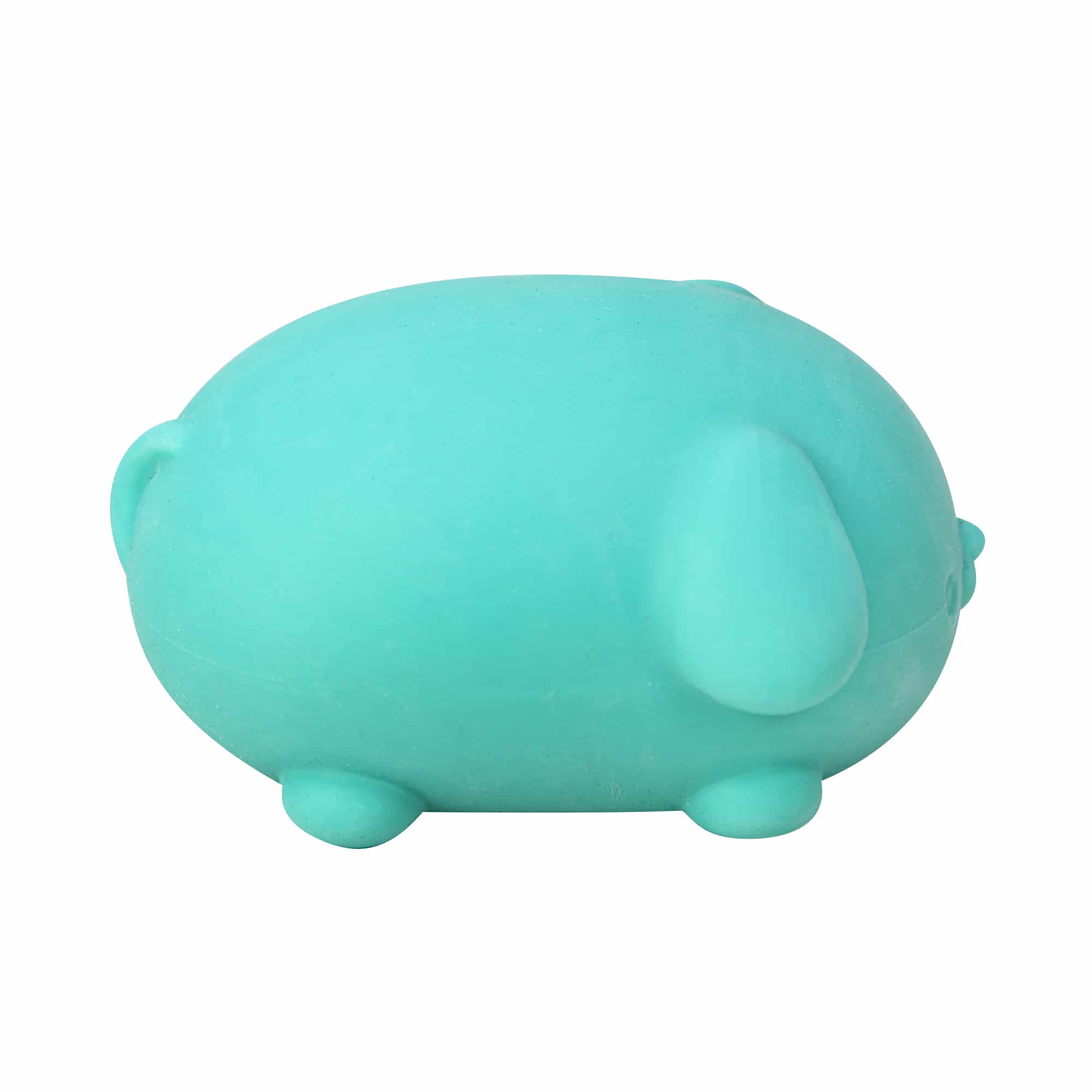 NeeDoh Funky Pup R7 - Teal Right