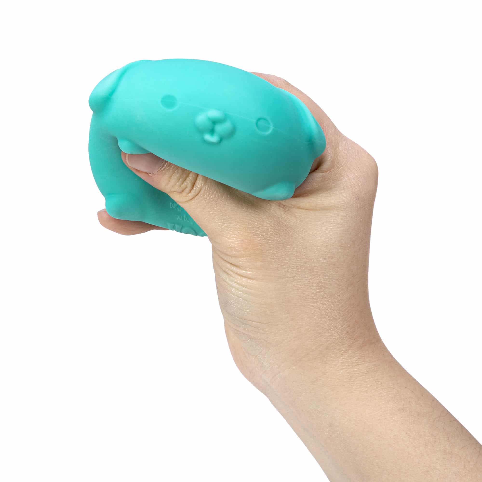 NeeDoh Funky Pup R7 - Teal Squeezed